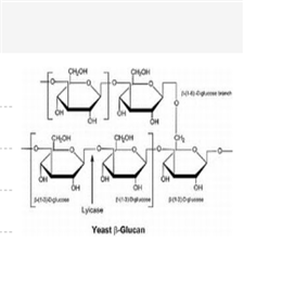 溶壁酶,Lysing Enzymes