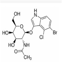 5-溴-4氯-3-吲哚N-乙酰-β-D-氨基半乳糖苷,X-GalNAc