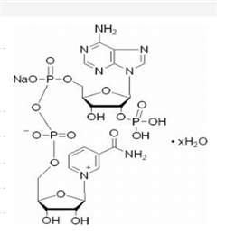 氧化型輔酶Ⅱ單鈉鹽,β- NADP