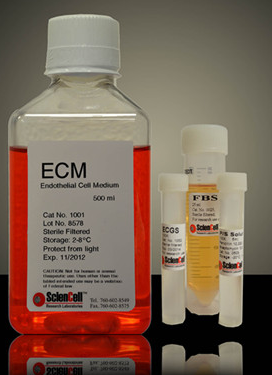 内皮细胞培养基ECM,Endothelial Cell Medium