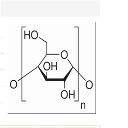 直链淀粉,Amylose