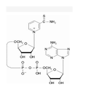 硫代氧化型辅酶I,Thio-NAD