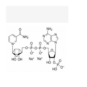 氧化型辅酶Ⅱ二钠,TPN;β-NADP