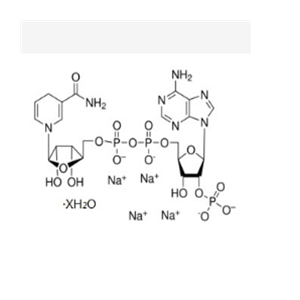 还原辅酶Ⅱ四钠盐,β-NADPH