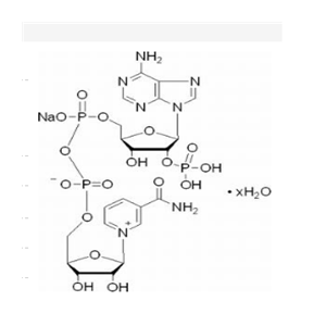 氧化型辅酶Ⅱ单钠盐