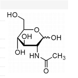 N-乙酰-D-氨基葡萄糖,D-GlcNAc