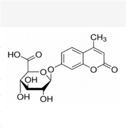 4-甲基伞形酮-D-葡萄糖醛酸苷,MUG