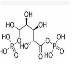 1，5二磷酸核酮糖,RuDP