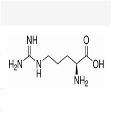 L-精氨酸,L-Arginine