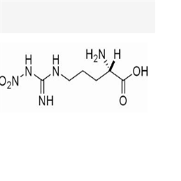 N-硝基-L-精氨酸,L-NNA