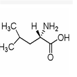 L-亮氨酸（白氨酸）,L-Leucine