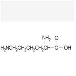 DL-賴氨酸,DL-Lysine