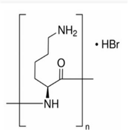 多聚左旋赖氨酸,Poly-L-lysine