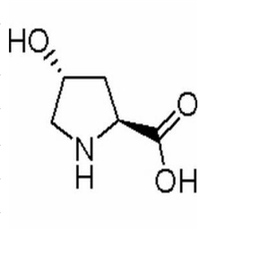 L-羥脯氨酸,L-Hydroxyproline