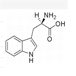 D-色氨酸,D-Trytophan