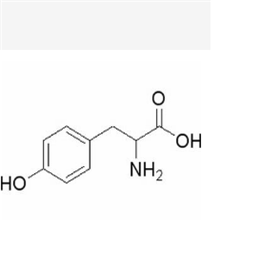 DL-酪氨酸,DL-Tyrosine