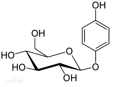 熊果苷,Arbutin