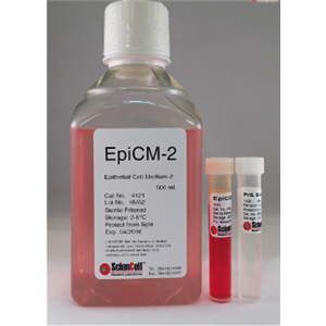 上皮细胞培养基 EPICM