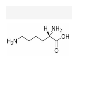 L-赖氨酸,L-Lysine