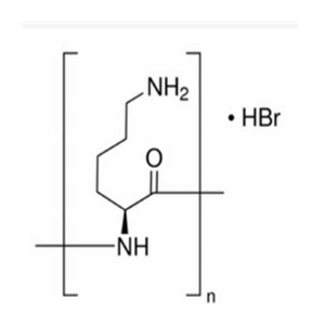 多聚左旋赖氨酸,Poly-L-lysine