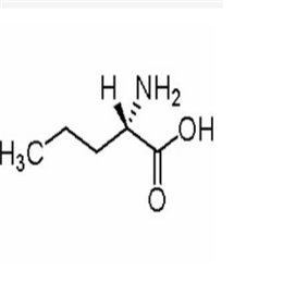 L-正纈氨酸,L-Norvaline