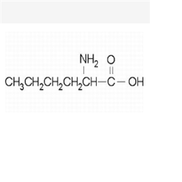 DL-正亮氨酸,DL-Norleucine