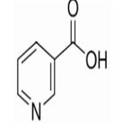 维生素B3,Nicotinic Acid