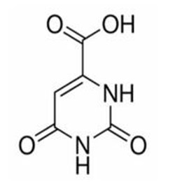 乳清酸,Orotic acid