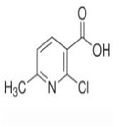2-氯-6-甲基烟酸,2-Chloro-6-methylpyridine-3-carboxylic acid