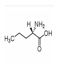 L-正纈氨酸,L-Norvaline