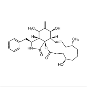 二氢细胞松弛素,DIHYDROCYTOCHALASIN B