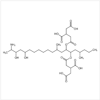 聚乙二醇B2,FUMONISIN B2