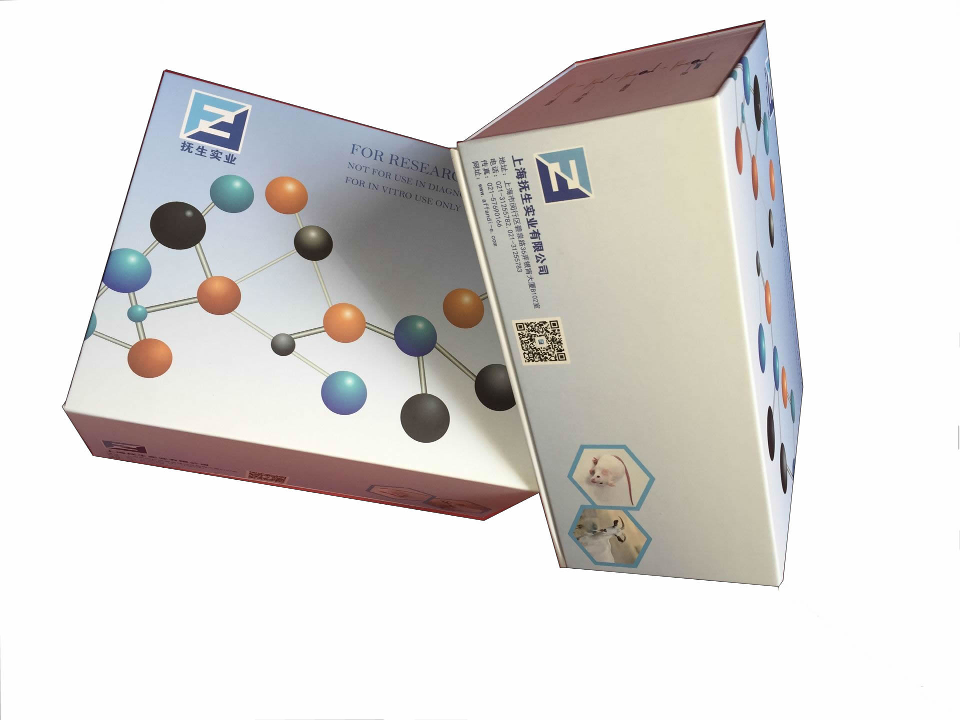 FOR Kynurenine 3-monooxygenase ELISA Kit,Kynurenine 3-monooxygenase ELISA Kit