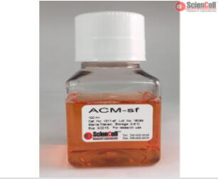 星形胶质细胞培养基-无血清 ACM-SF,Astrocyte Conditioned Medium-Serum Free