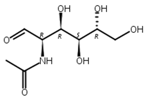 N-乙酰化氨基葡萄糖,N-Acetylglucosamine