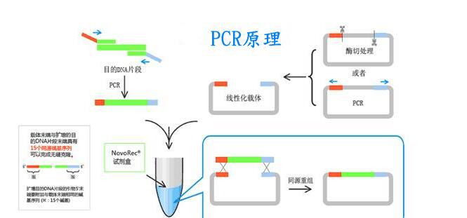 新星诺卡菌PCR检测试剂盒,Nocardia novaPCR