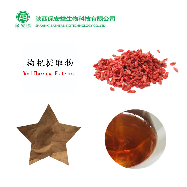 枸杞提取物,Wolfberry Extract Powder