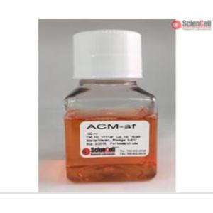 星形胶质细胞培养基-无血清 ACM-SF,Astrocyte Conditioned Medium-Serum Free