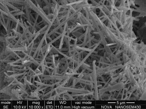 纳米氮化硅晶须,Silicon nitride whisker