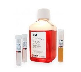 成纤维细胞培养基 FM,Fibroblast Medium