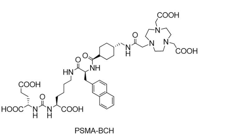 PSMA-BCH,PSMA-BCH