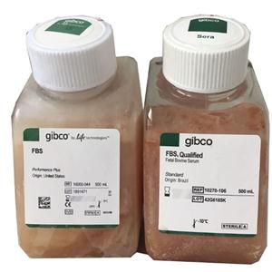 GIBCO 12657-029胎牛血清,巴西源