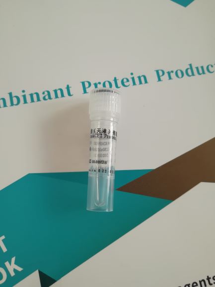 重组人源ACE2蛋白,Recombinant Human ACE2 Protein, His-tag