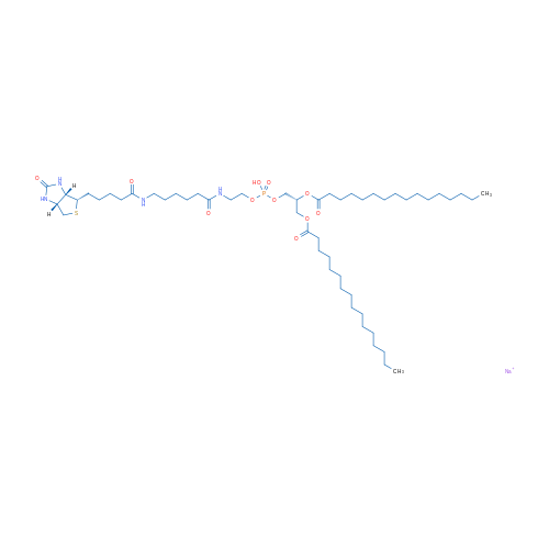 DPPE-cap-Biotine（钠盐）,1,2-dipalmitoyl-sn-glycero-3-phosphoethanolamine-N-(cap biotinyl)(sodium salt)