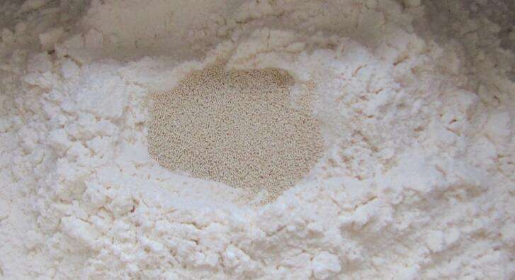 干酵母粉,dried yeast powder