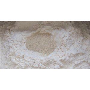 干酵母粉,dried yeast powder