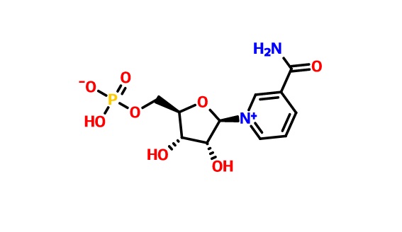 β烟酰胺单核苷酸