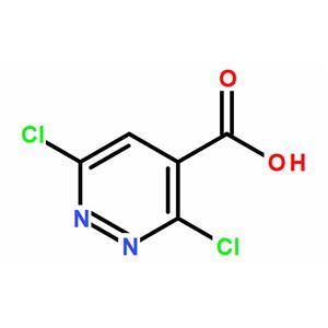 3,6-二氯哒嗪-4-羧酸,3,6-Dichloropyridazine-4-carboxylic acid