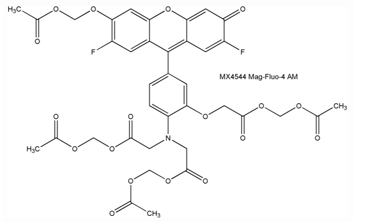 Mag-Fluo-4 AM,鎂離子熒光探針,Mag-Fluo-4 AM, Cell Permeant