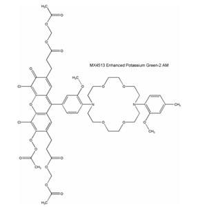 鉀離子指示探針,Enhanced Potassium Green-2 AM（EPG-2 AM）